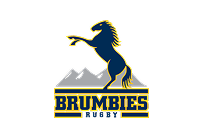 Brumbies